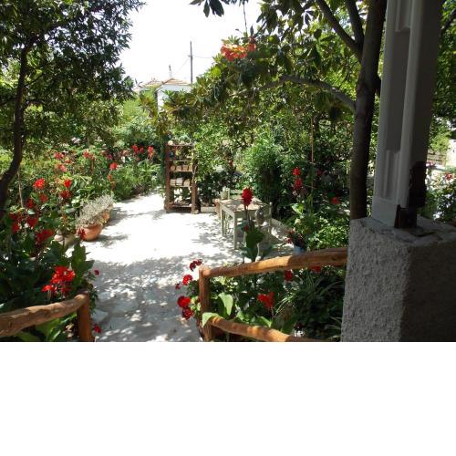Stamatia's Garden