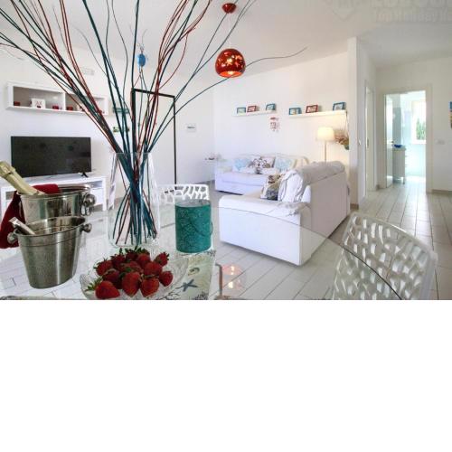 Starfish Apt