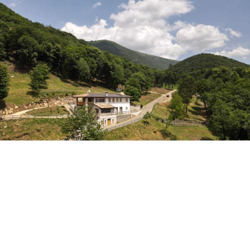 Staulir Affittacamere