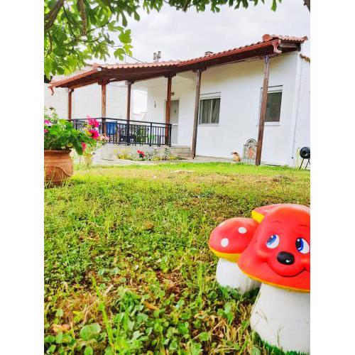 Stavrini's House
