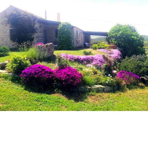 stazzo Liccia Barria- Costa Smeralda