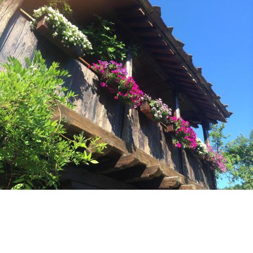 Stefanina Guesthouse