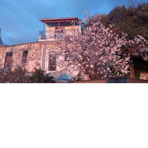 Stefanis traditional house - Kampos