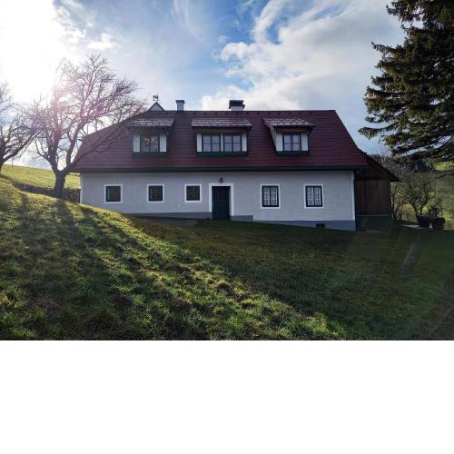 Stein im Holz