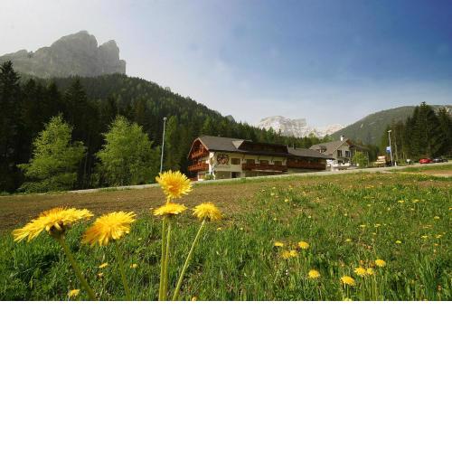 Steinerhof