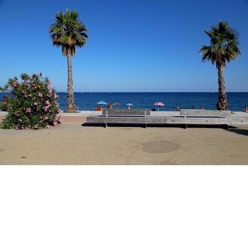 Stella Marina
