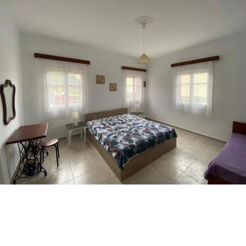 Stella's House