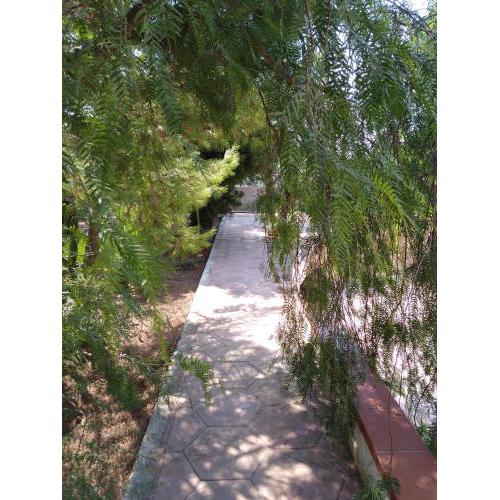 Stelle Sul Salento Holiday Home