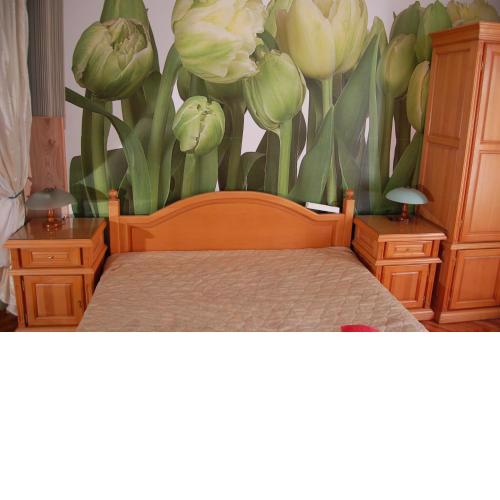 Stivan Iskar Hotel