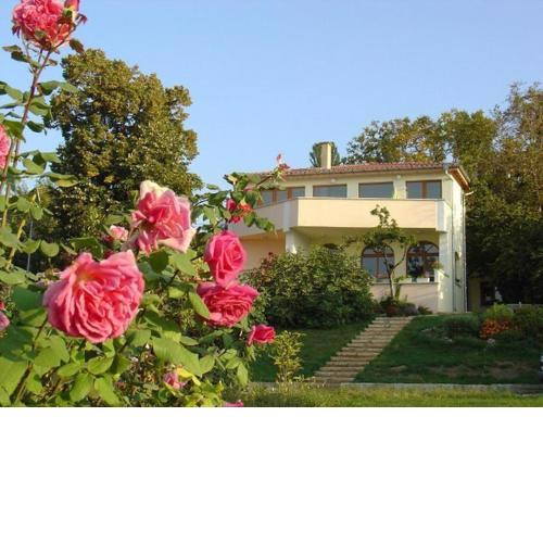 St.Nikola Holiday Home