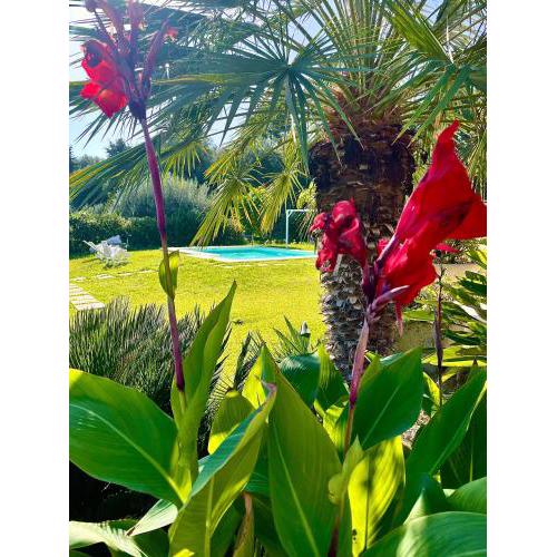 Strelitzia's house with pool, parking & wi-fi