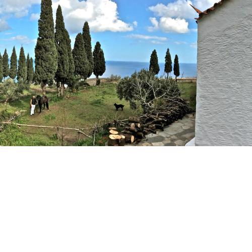 Strongilos Homestay