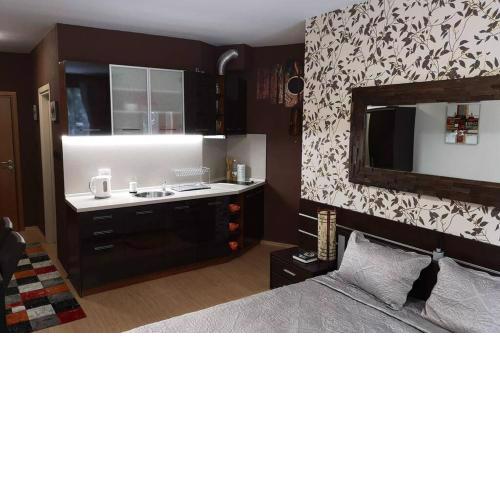 Studio 1 Iceberg Borovets