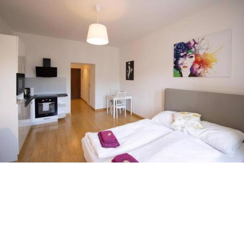 Studio-Apartment between Schoenbrunn & the City Center (30)