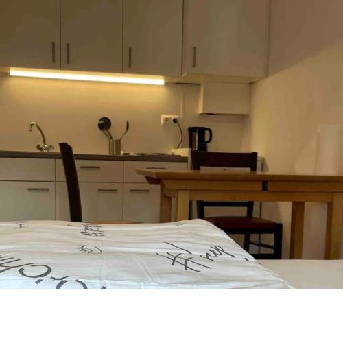 Studio Apartment near Linz Main Train Station