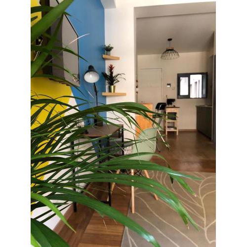 Studio Falconara