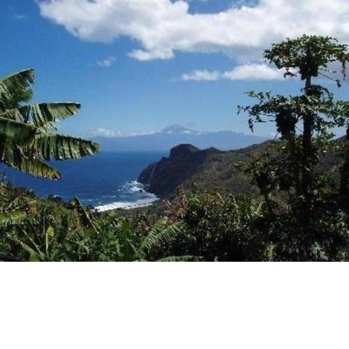 Studio für 2 Personen ca 60 m in Hermigua, La Gomera