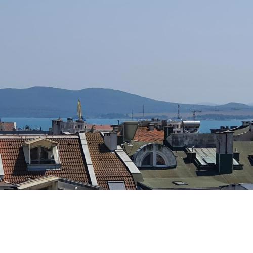 Studio Lotus with Terrace- Central Location