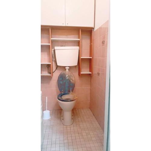 Studio or room in Thelemangasse