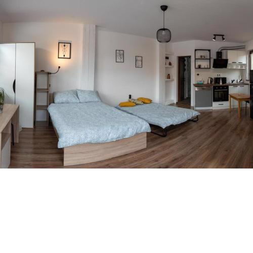 Studio Panagyurishte
