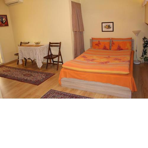Studio Pleven Center