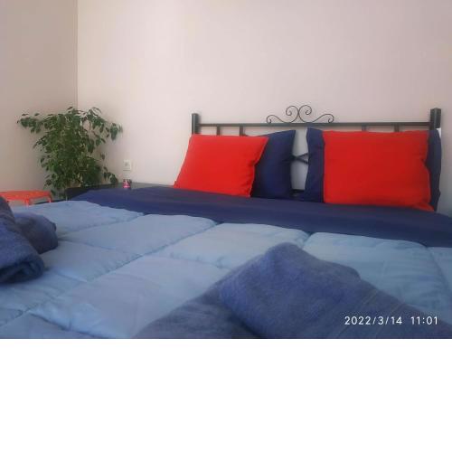 STUDIO POSEIDONIA apart 50 sqm with sea view