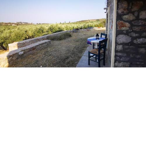 Studio Retreat Paleopoli