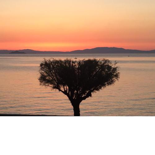 Studio Rio Marina sul mare AC