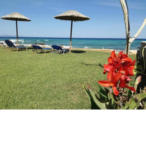 Studio Thalassa