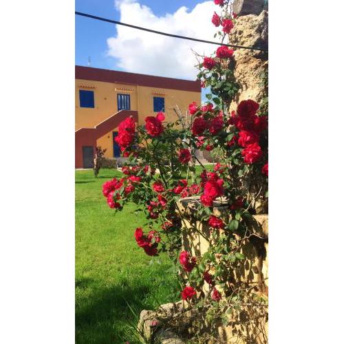 Studio with enclosed garden and wifi at Gallipoli 3 km away from the beach