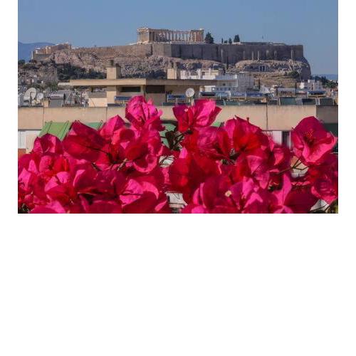 Studio with private terrace and view of Acropolis!