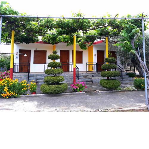 Studio Zoi