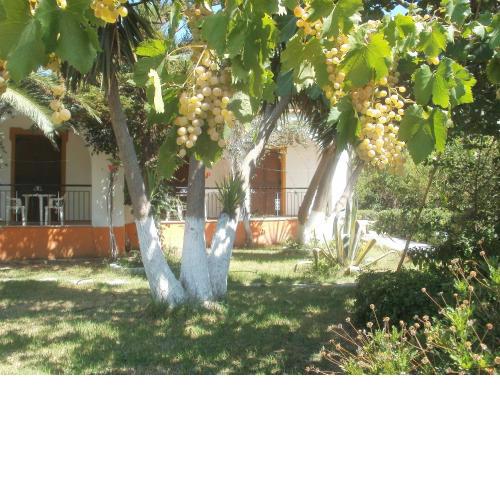 Studios Dimitris