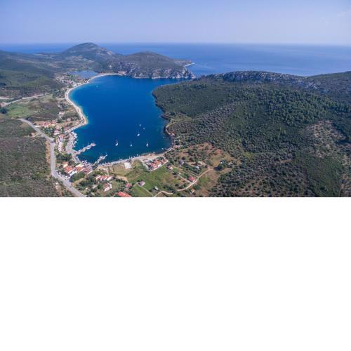 Studios Diogenis