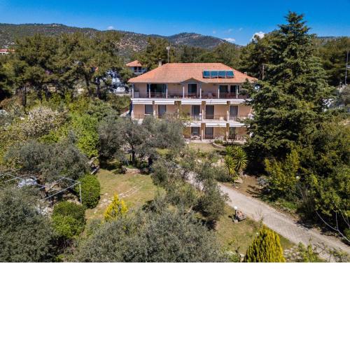 Studios Thassos