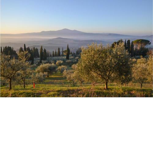 Stunning apartment in Piancastagnaio with 3 Bedrooms and WiFi