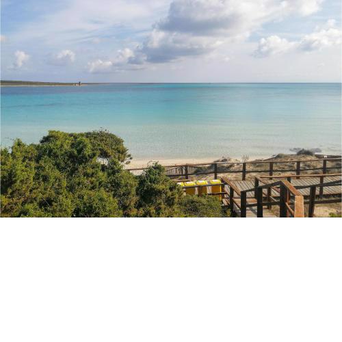 Stunning apartment in Stintino with 1 Bedrooms and Outdoor swimming pool