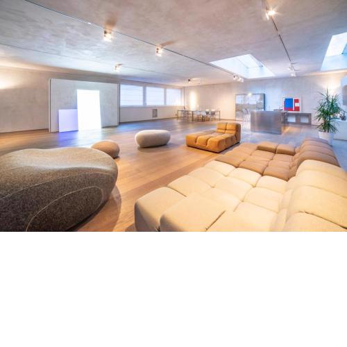 Stylish Loft