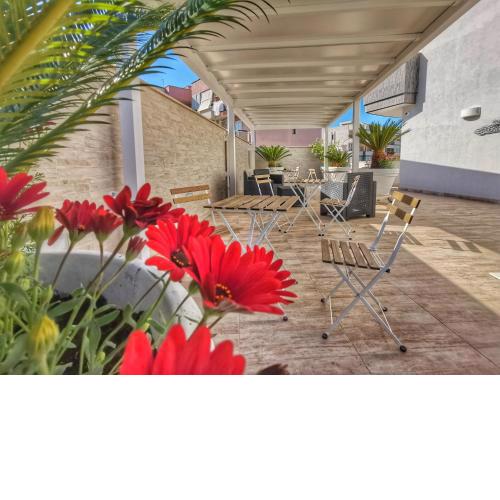 Suite 5 Monopoli