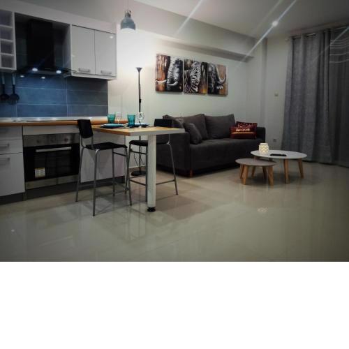 Suite Apartment Athens center, metro Metaxourgeio