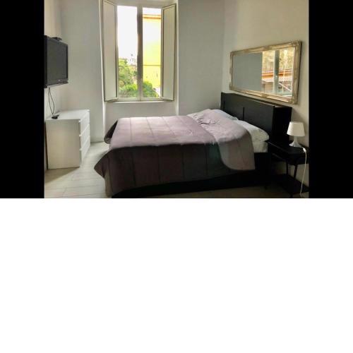 Suite &House