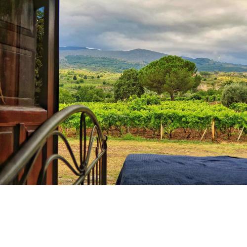 Suite in vigneto