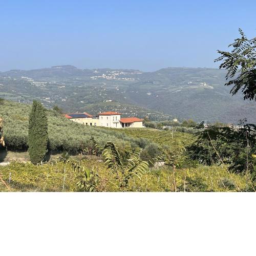 Suite La Torretta