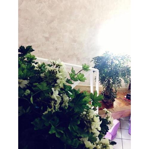 Suite Orchidea by Dimorra