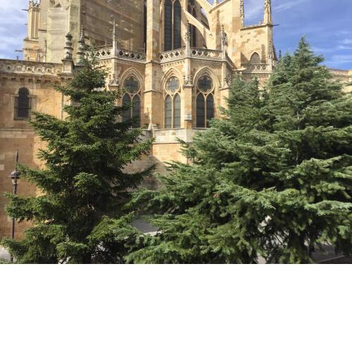 Suites La Catedral