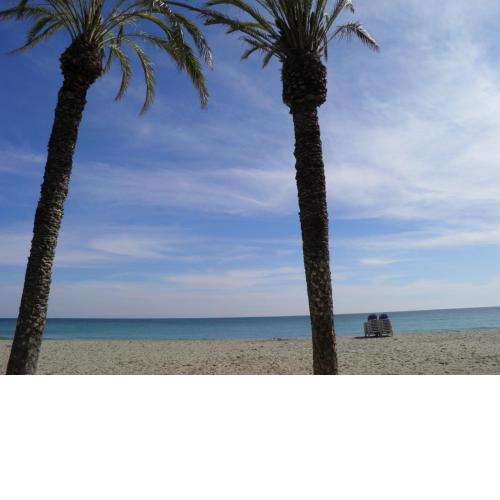 Suitur Ático Playa Dorada
