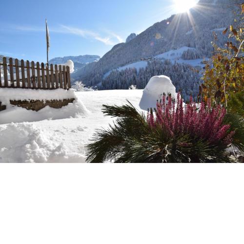 Sule Hof Agriturismo