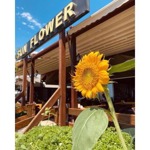 Sun Flower Apart Hotel