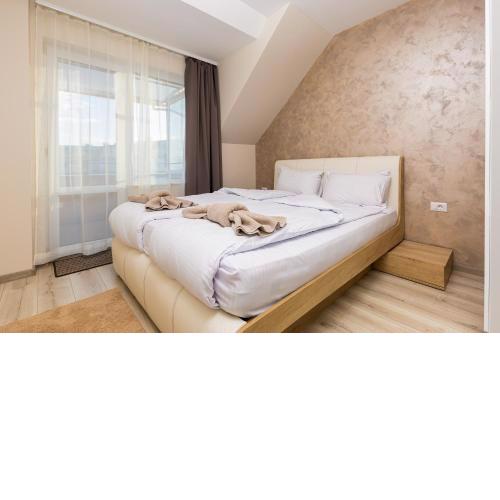 Sunny 1BD Apartment in OLD TOWN