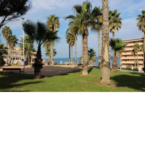Sunny bungalow La Mata